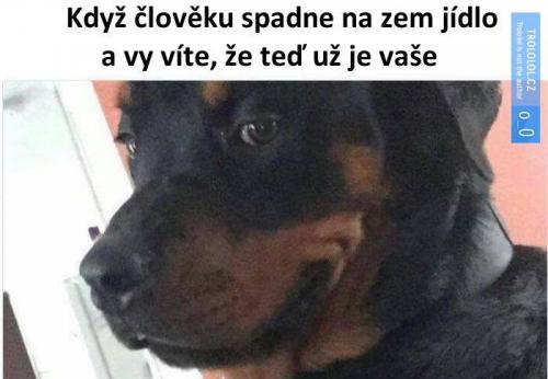  Země 