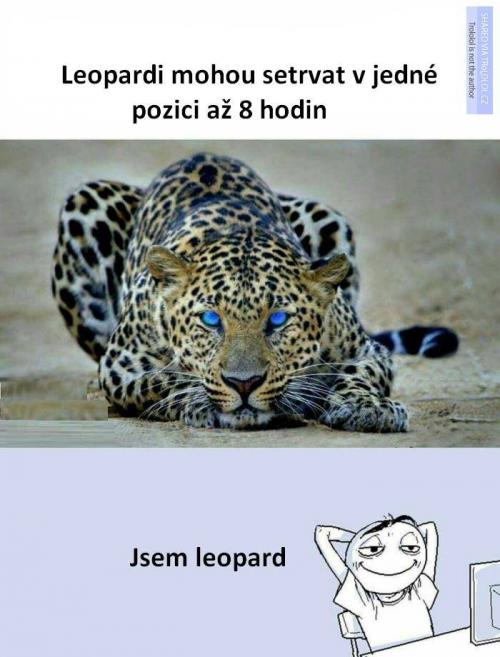  Leopard 