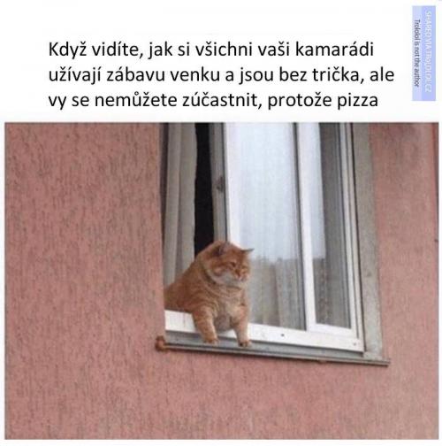  Kamarádi si užívají) 