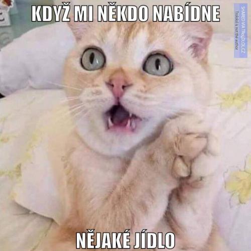  Nějaké jídlo 