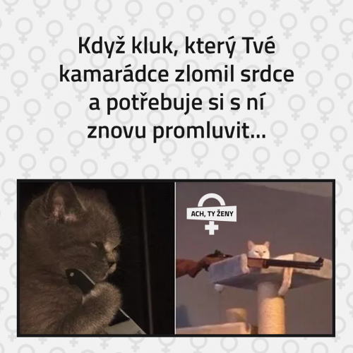 Snipeeeer