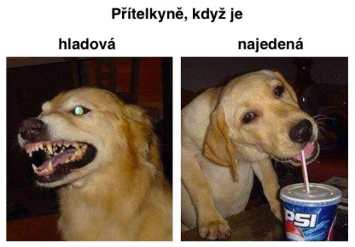  Přítelkyně 