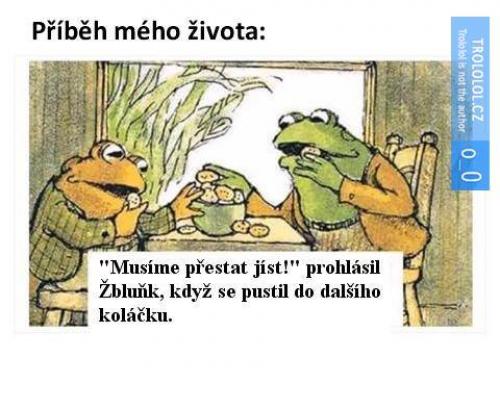  Příběh života 