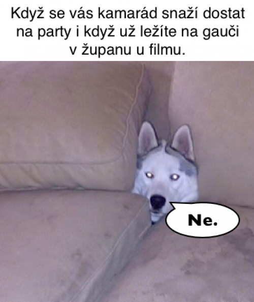  Gauč 