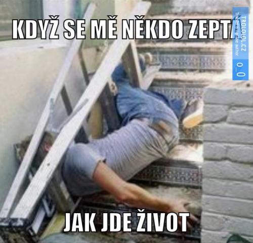  Zivot 