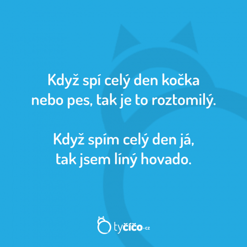  Kočka 