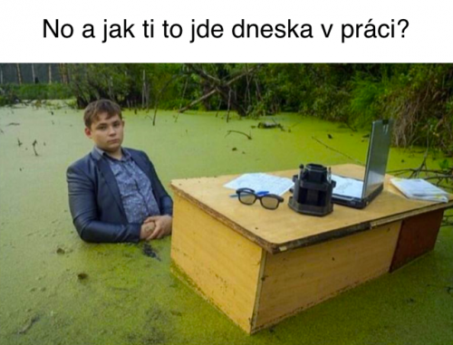  Dneska v práce 