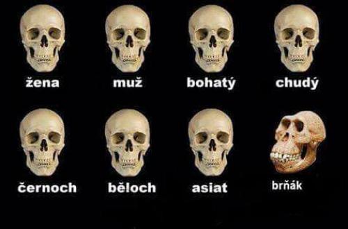 Brňák