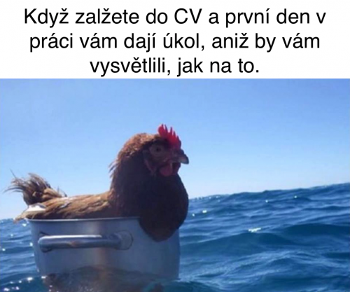 CV