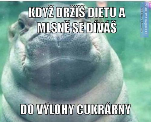  Přísná dieta 