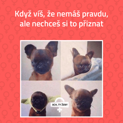  Nemá pravdu 