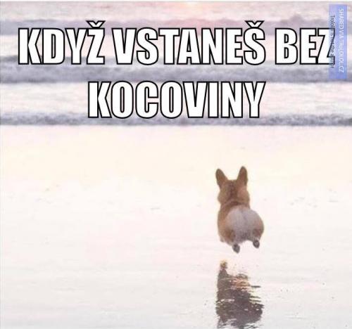  Kocovina 