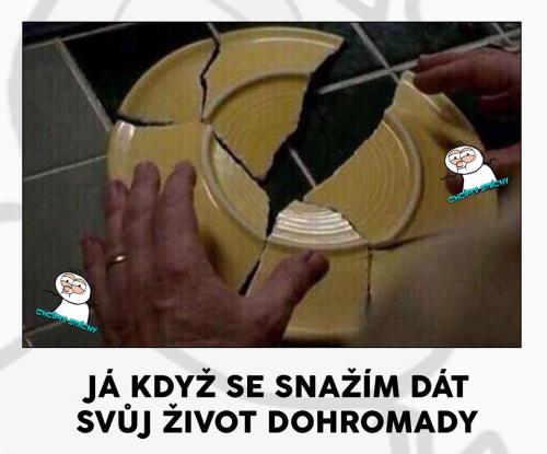 Životek