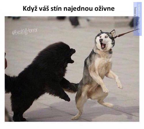 Oživne