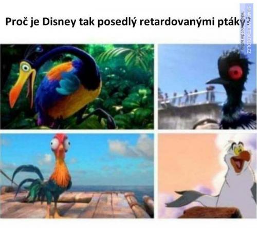  Disney 