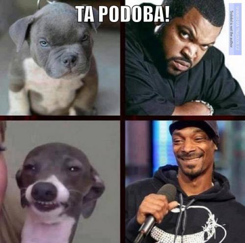  Ta podoba 