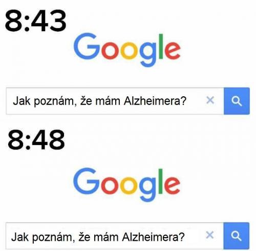  Alzheimer 