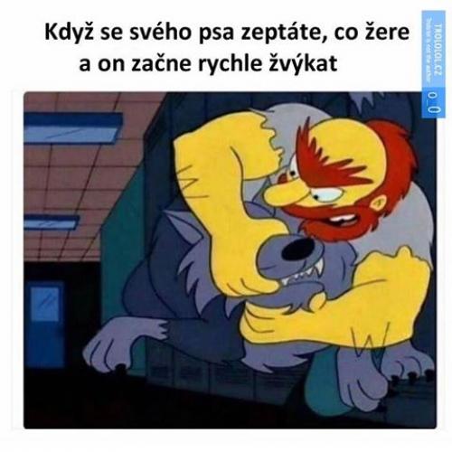 Co žereš