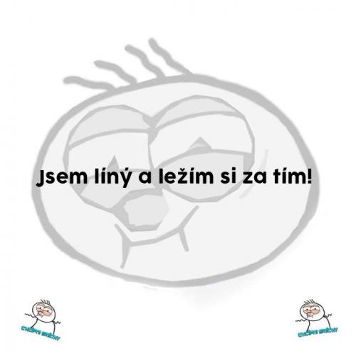 Ležím