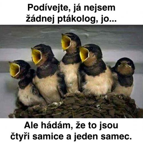 Ptákolog