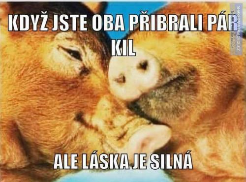  Láska 