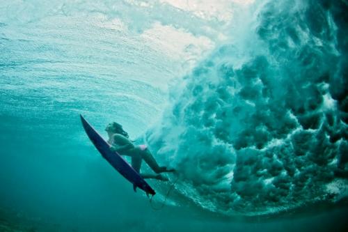  Surf 