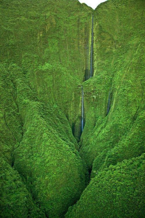  Hawai 