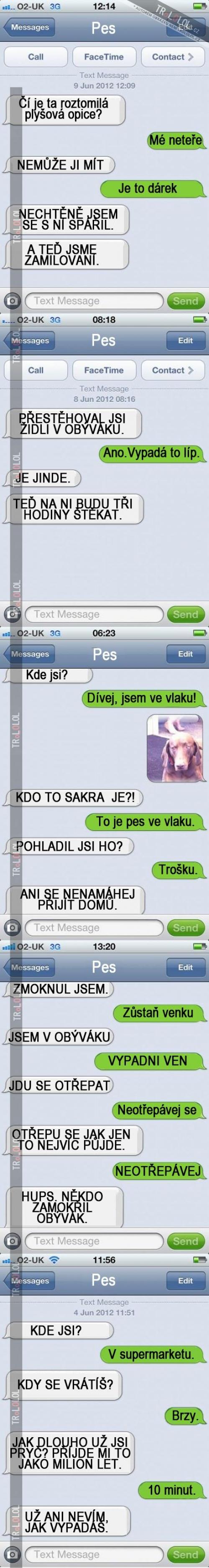  Jak vypadá sms konverzace se psem 