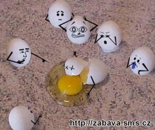  Vajíčko to nezvládlo 