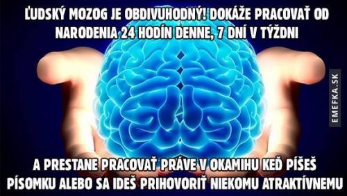  Lidský mozek 