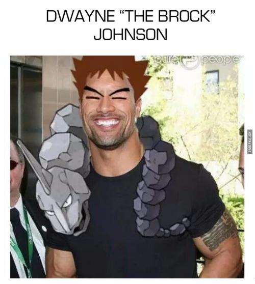  Dwayne the Brock 