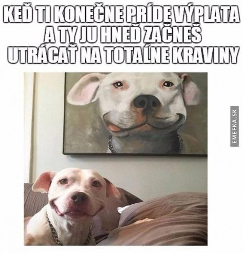 Výplata