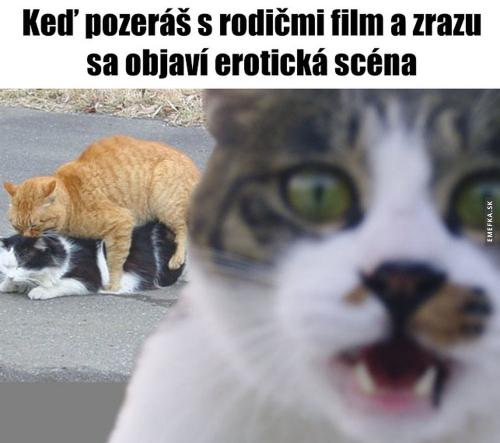  Když se s rodiči díváš na film 