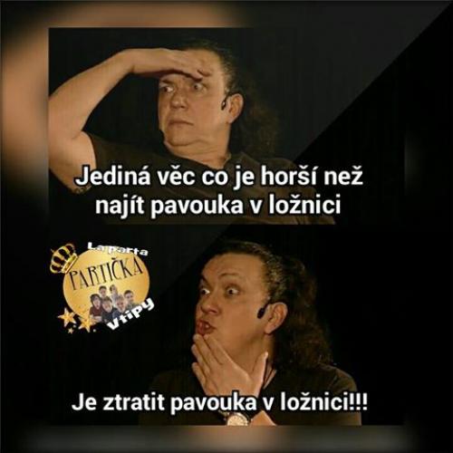 Pavouk v ložnici 