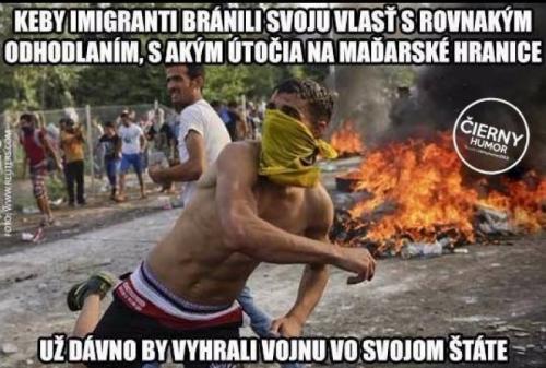  Imigranti 