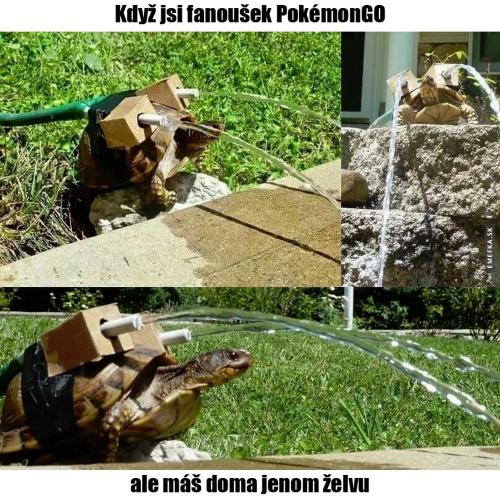  Fanoušek Pokemon go 
