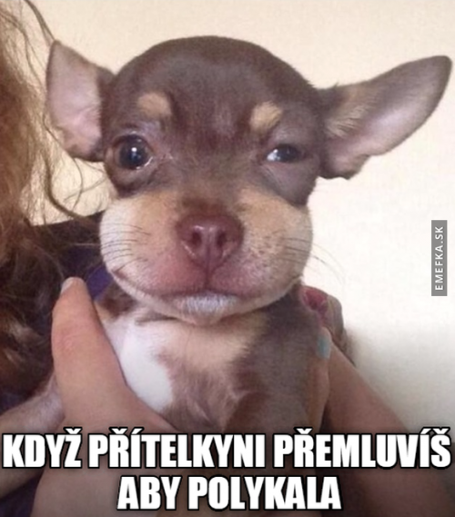  Přítelkyně 