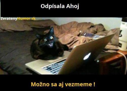 Svatbaa