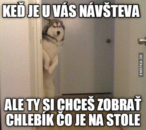  Návštěva 