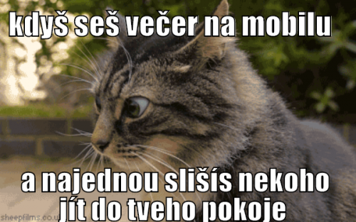  Večer na mobilu 