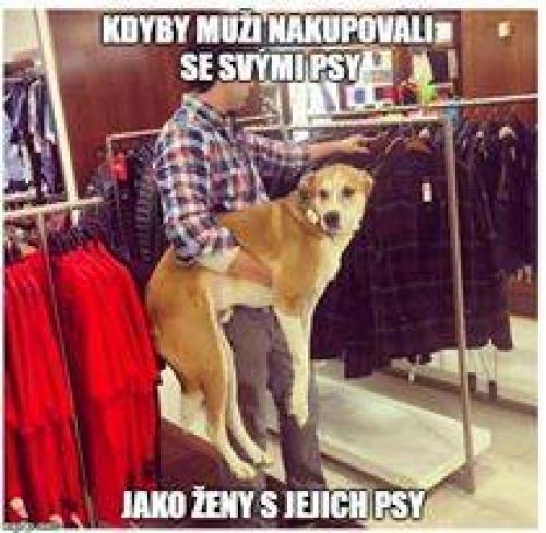  Ženy v obchodu 