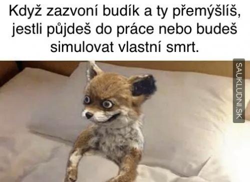  Když nechceš do práce 