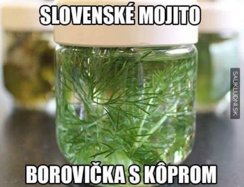  Slovenské mojito 