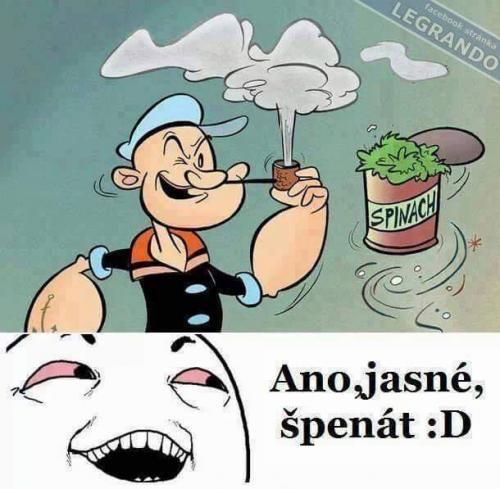 Špenát