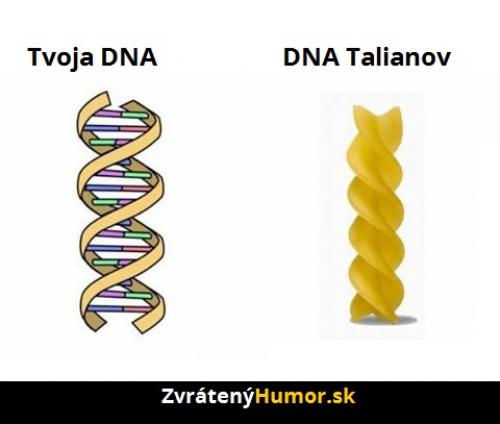  DNA 