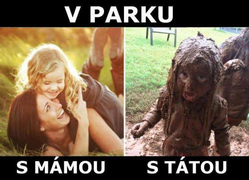  V parku 