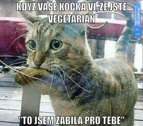  Kočka vegetariánů 