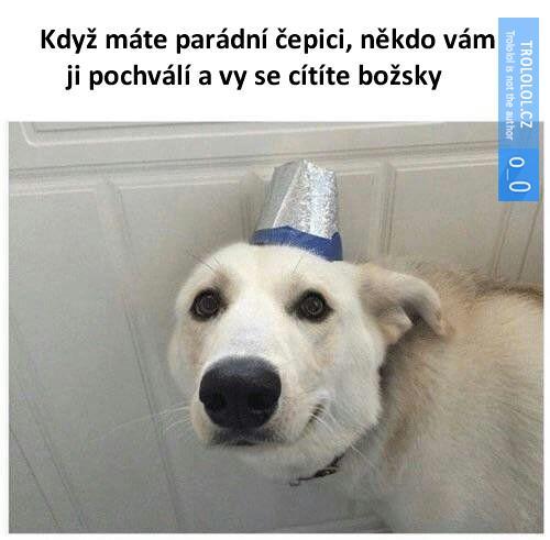 Cepice