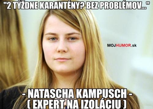  Expert 