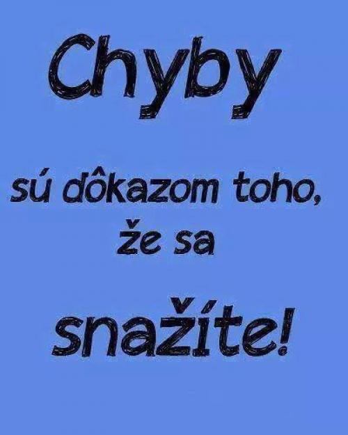 Chyby